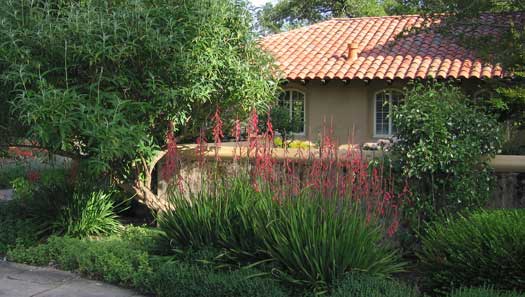 Susie Dowd Markarian Landscape Design