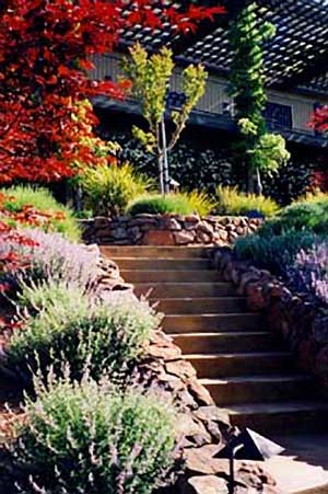 estate garden