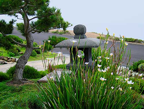 asian-white-garden