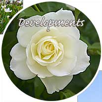 developments