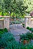 Susie Dowd Markarian Landscape Design