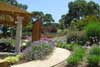 Susie Dowd Markarian Landscape Design