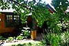 residential garden