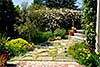 Susie Dowd Markarian Landscape Design